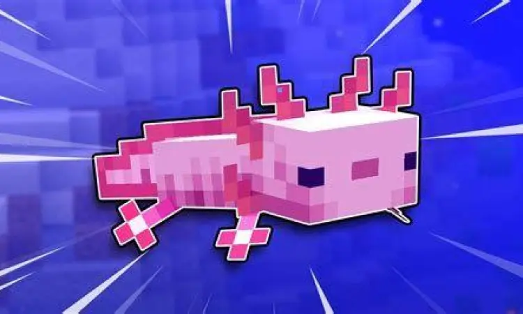 Axolotl Minecraft 1.17.40 Fitur Axolotl di Minecraft 1.17.40