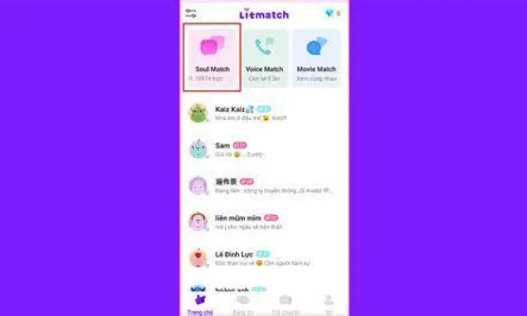 Fitur Soul Match di Litmatch