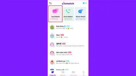 Soul Match Litmatch Fitur Soul Match di Litmatch