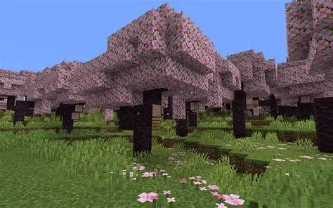 Cherry Blossom Biome Minecraft Pemandangan indah Cherry Blossom Biome