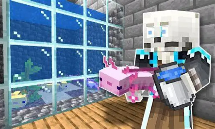 Axolotl di Minecraft 1.17