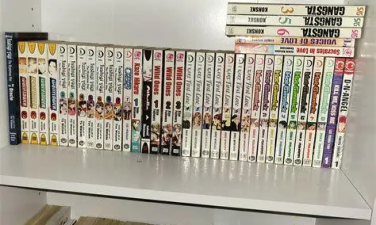 Koleksi buku manga fisik sebagai dukungan untuk kreator