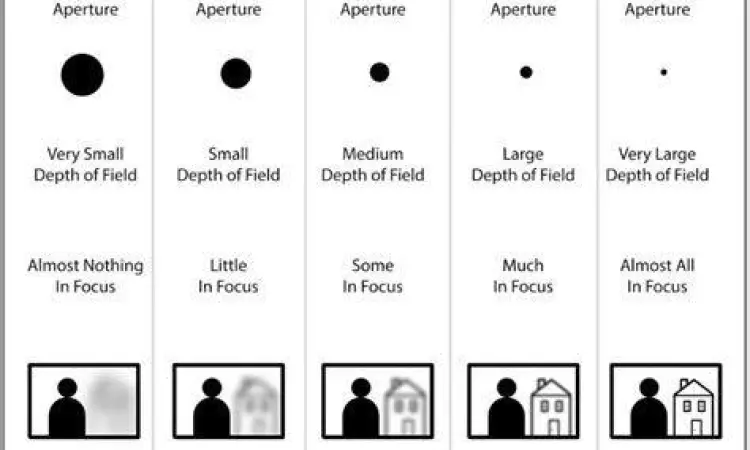 Penjelasan aperture lensa untuk efek bokeh