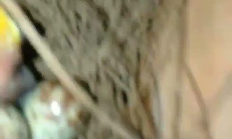 Survei Berbayar Saldo DANA Mengisi survei online untuk mendapatkan saldo DANA