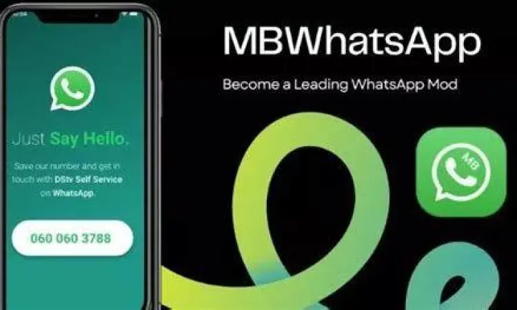 Tampilan antarmuka kustomisasi WhatsApp MOD
