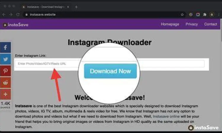 situs ig downloader online terbaik