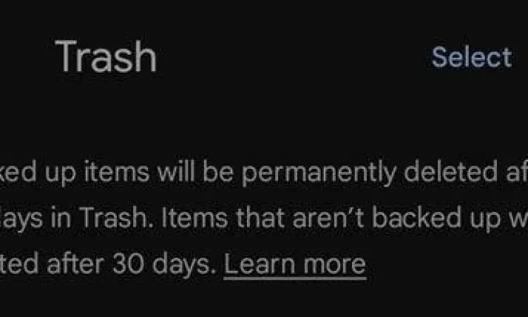 Tampilan menu sampah pada aplikasi Google Photos