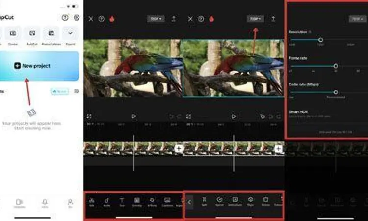 Antarmuka Editor Foto Antarmuka aplikasi foto profesional dengan berbagai fitur editing