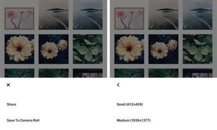 Perbandingan filter estetik di aplikasi VSCO
