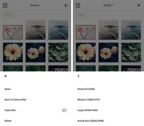 Filter Estetik VSCO Perbandingan filter estetik di aplikasi VSCO