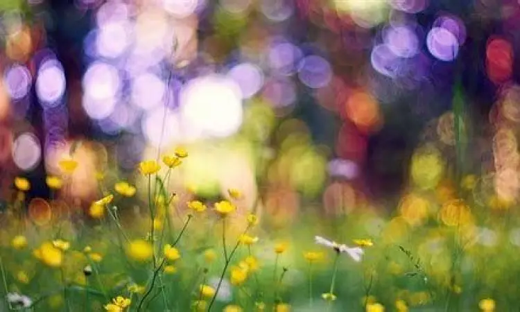 Hasil Foto Bokeh Outdoor Foto portrait outdoor dengan efek bokeh natural