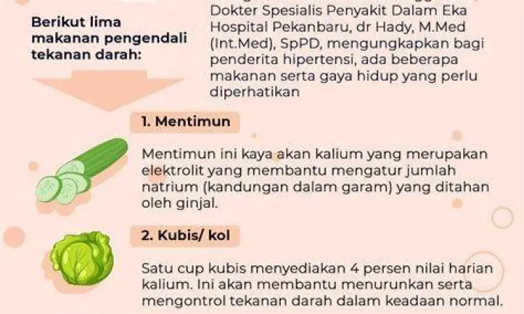 Tampilan editor PDF pada WPS Office Mod