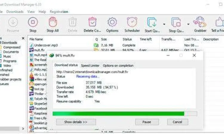 Interface Download Manager Tampilan antarmuka aplikasi download manager di PC