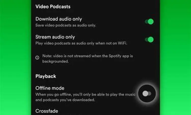 Fitur mendengarkan musik offline di aplikasi