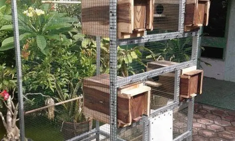 Langkah pendaftaran akun MyXL di smartphone