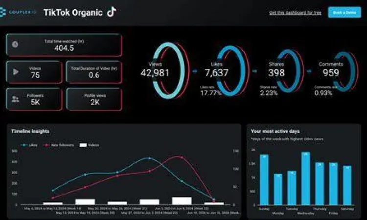 Analitik TikTok Dashboard analitik aplikasi Tik Tok terbaru