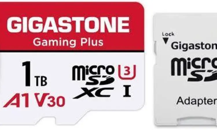 MicroSD untuk penyimpanan game