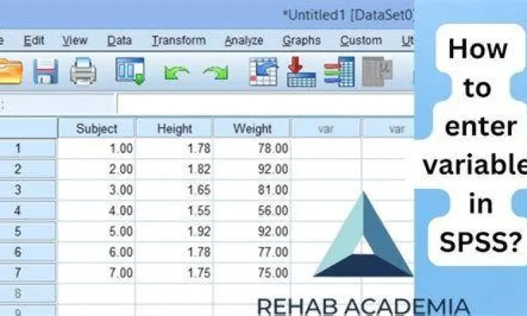Tutorial Input Data SPSS Proses input data di software SPSS 25