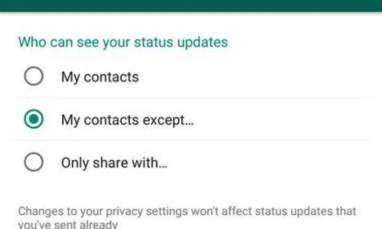 Privasi WhatsApp Mod Pengaturan privasi pada whatsapp mod 2022