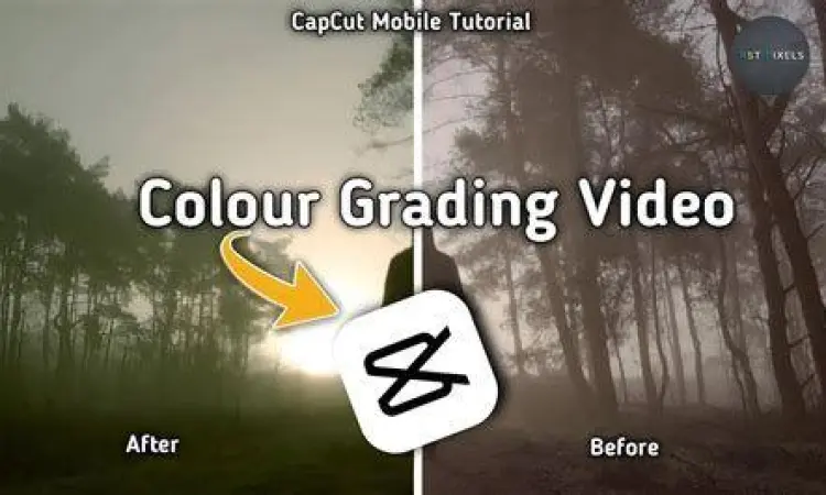 Proses color grading pada aplikasi pengedit foto
