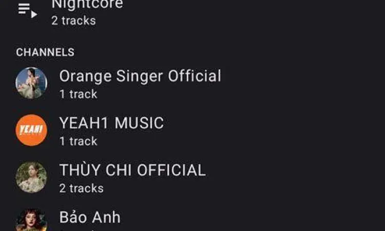 Interface YMusic Mod APK Antarmuka aplikasi YMusic Mod di smartphone Android