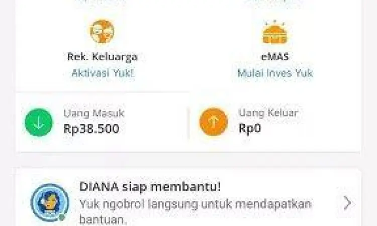 Verifikasi DANA Premium Proses verifikasi KTP di aplikasi DANA
