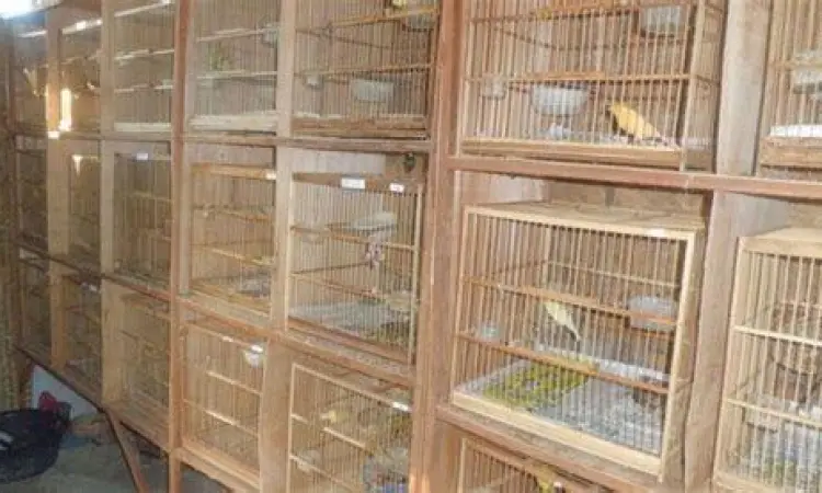 Antarmuka Speeder Tanpa Iklan Tampilan antarmuka aplikasi pengatur kecepatan game