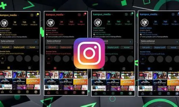 Tampilan fitur kustomisasi pada instagram mod