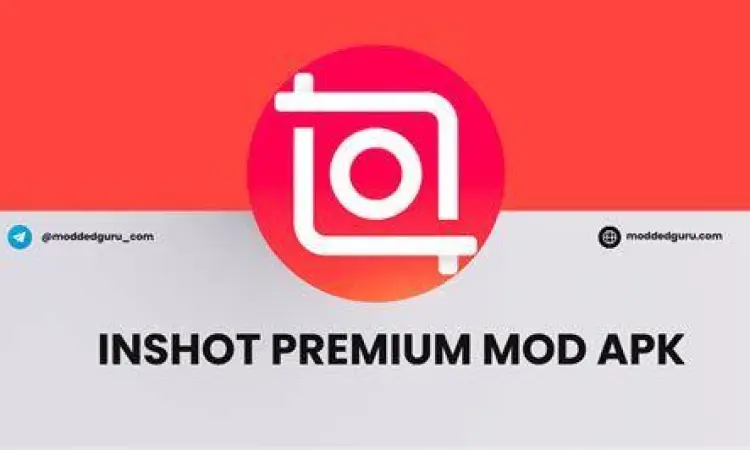 Koleksi filter premium di aplikasi Inshot Mod