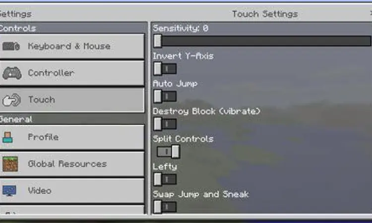Menu pengaturan Minecraft Bedrock versi 1.16.220