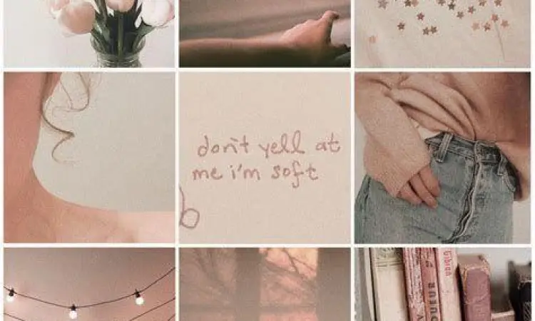 Contoh moodboard estetik di aplikasi Pinterest