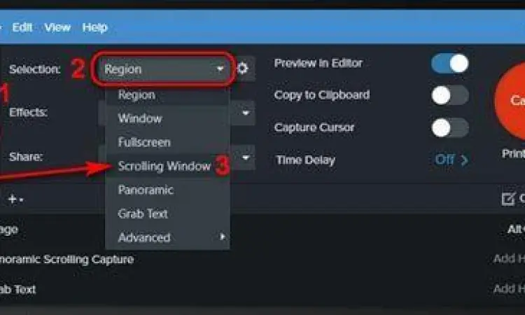 Scrolling Capture Feature Demonstrasi fitur scrolling screenshot pada halaman web