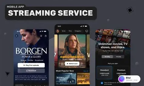 Interface Aplikasi VCS Tampilan antarmuka aplikasi streaming video interaktif