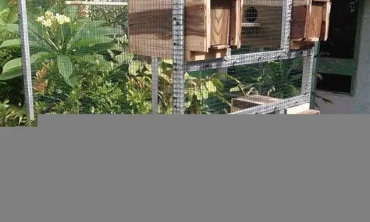 Situs Web Jasa Convert Pulsa Daftar situs website untuk convert pulsa ke dana