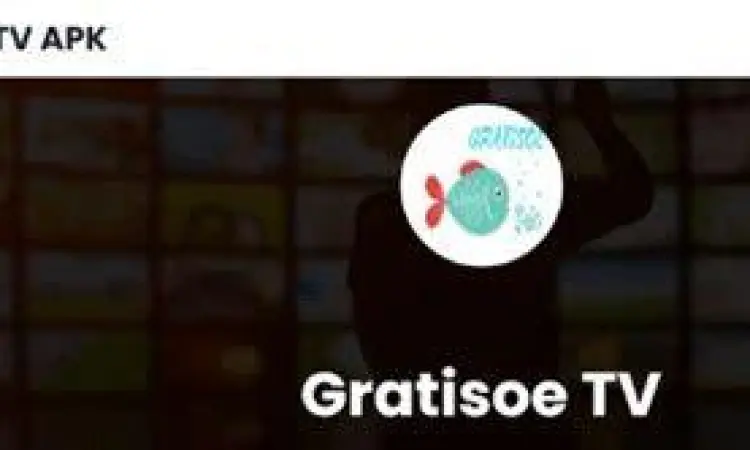 Antarmuka Gratisoe TV Tampilan antarmuka aplikasi Gratisoe TV yang modern