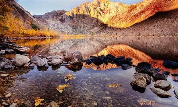 Pilihan resolusi video MP4 dan format MP3