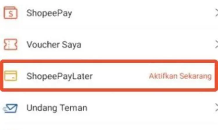 Proses verifikasi data pada aplikasi paylater