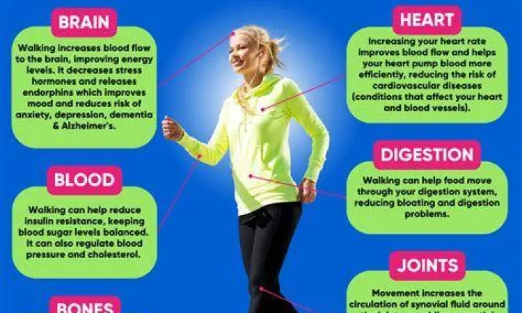 Manfaat Jalan Kaki Manfaat jalan kaki bagi kesehatan tubuh
