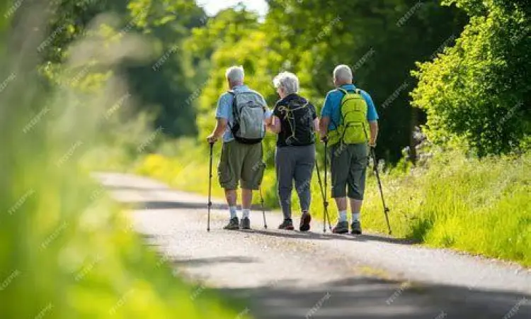 Jalan Kaki dan Kesehatan Mental Seseorang berjalan kaki di taman untuk kesehatan mental