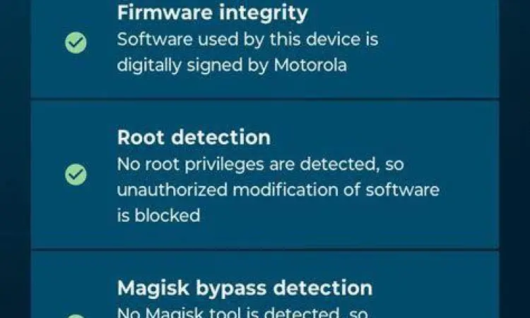 Pemindaian keamanan pada perangkat smartphone