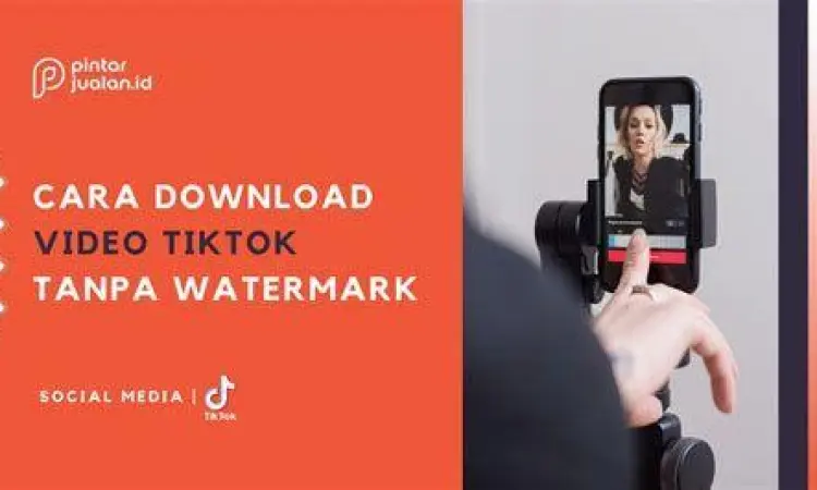 Antarmuka aplikasi download tiktok tanpa watermark yang mudah digunakan