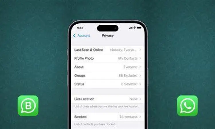 Pengaturan privasi pada WhatsApp Mod