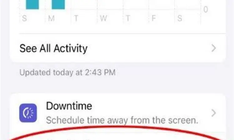 Menu Screen Time iPhone Tampilan menu Screen Time untuk membatasi aplikasi di iPhone