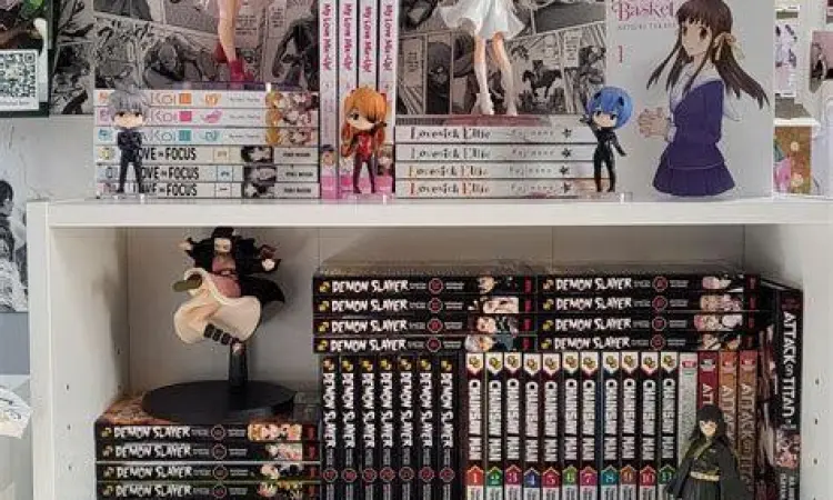 Koleksi manga di rak buku
