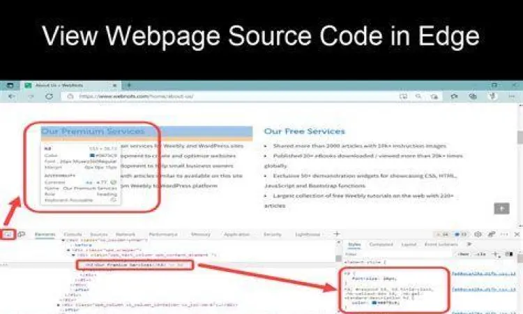 Tampilan source code pada browser untuk cek stalker