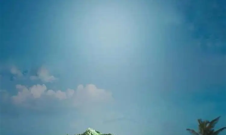 Memilih latar belakang baru di editor foto online