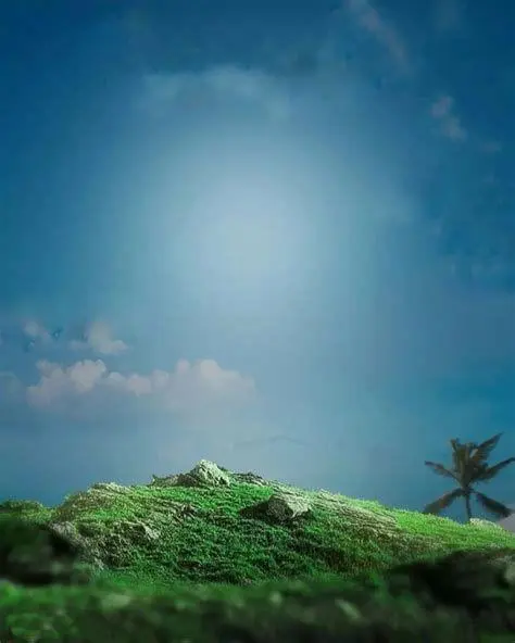 Pilihan Background Baru Memilih latar belakang baru di editor foto online