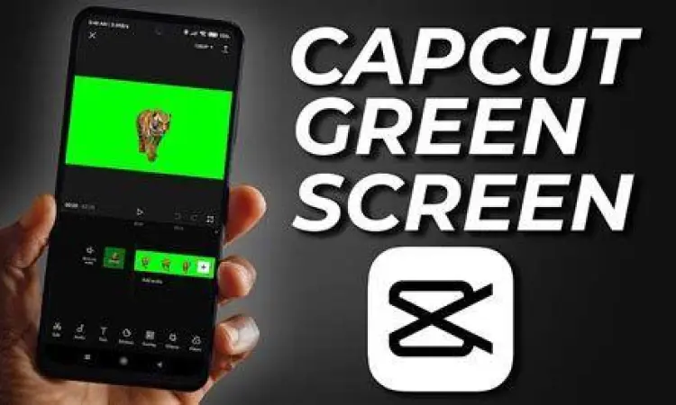 Penggunaan fitur green screen pada CapCut Pro Mod APK