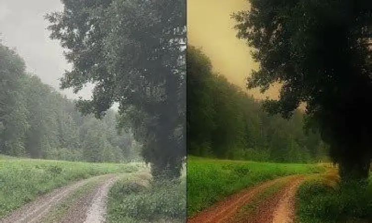 Proses color grading di aplikasi mobile