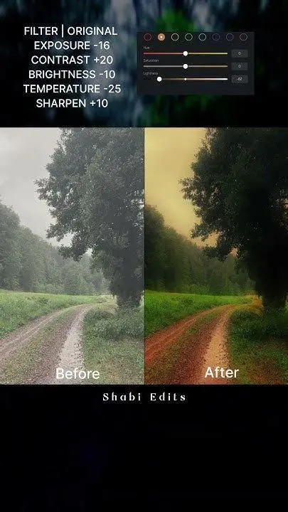 Color Grading Mobile Proses color grading di aplikasi mobile
